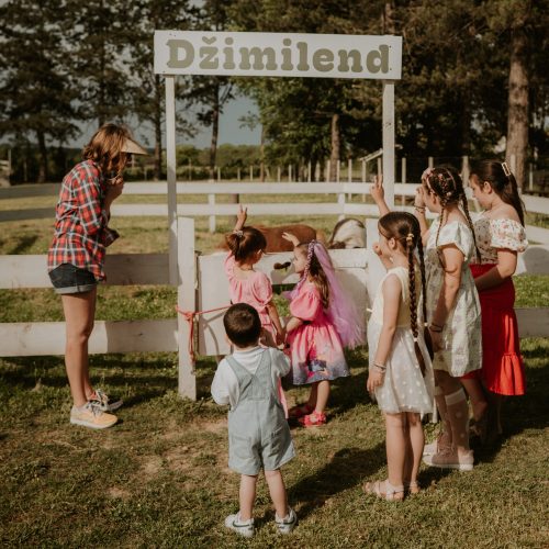 Deca hrane šetlandskog ponija na rođendanskoj proslavi u Džimilendu